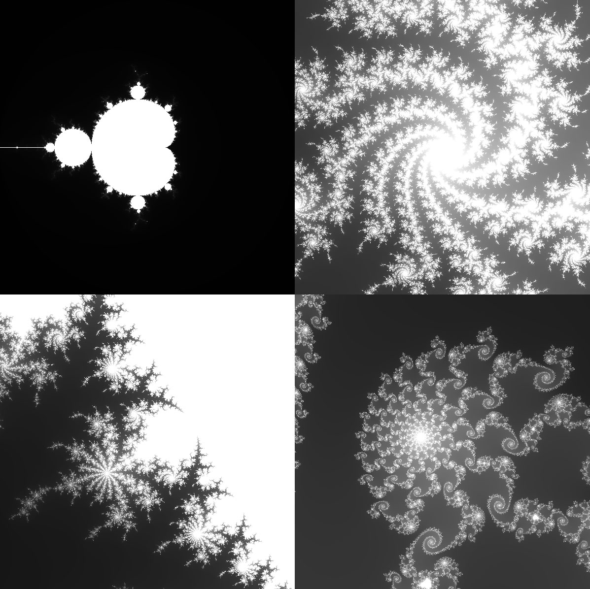 Various forms found in the Mandelbrot Set